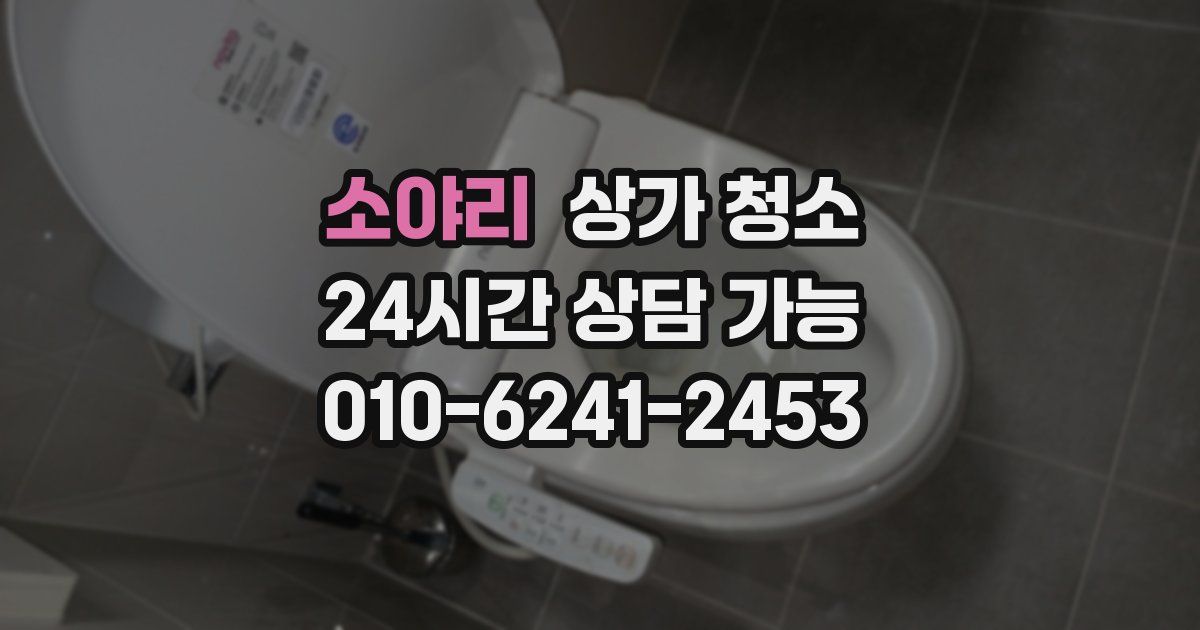 소야리 상가 청소