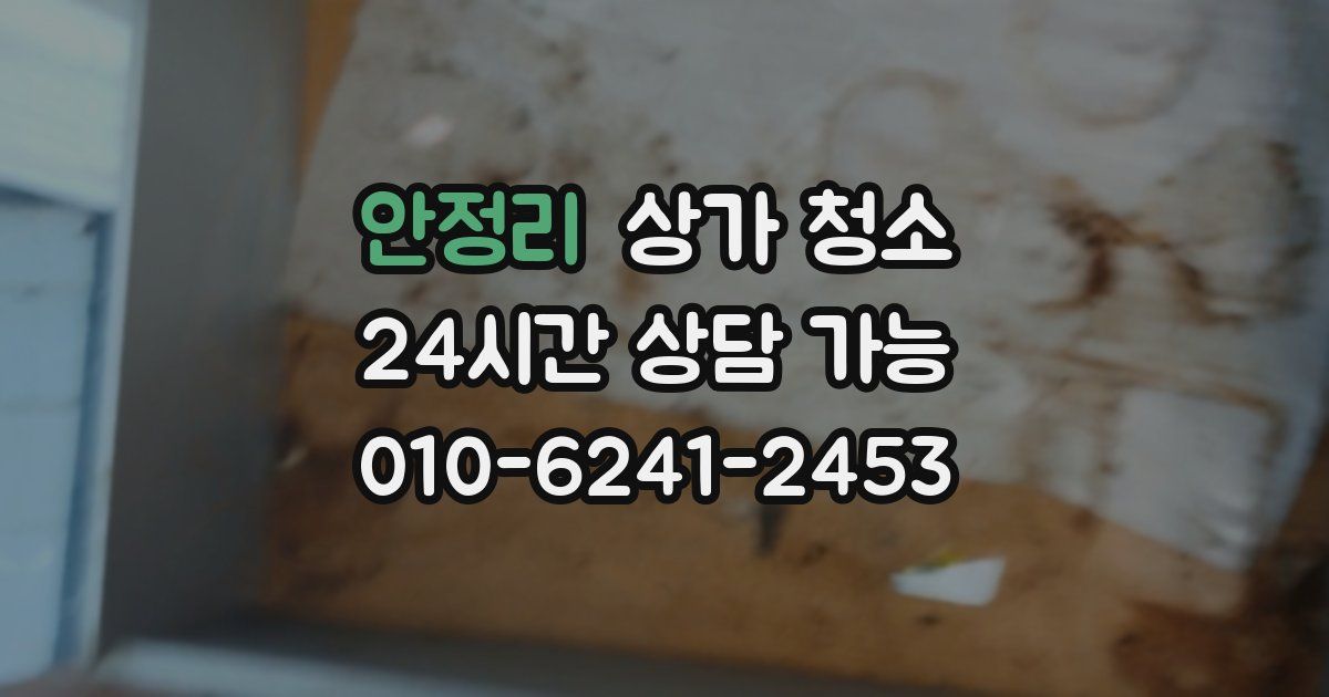 안정리 상가 청소