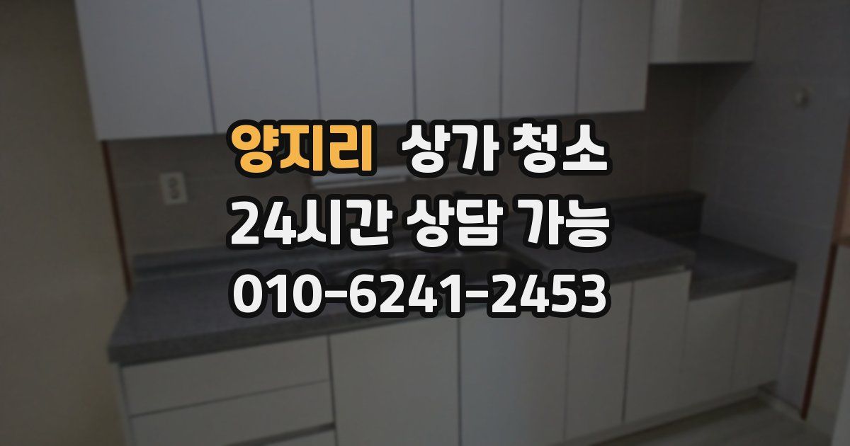 양지리 상가 청소