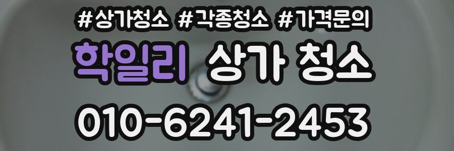 학일리 상가 청소
