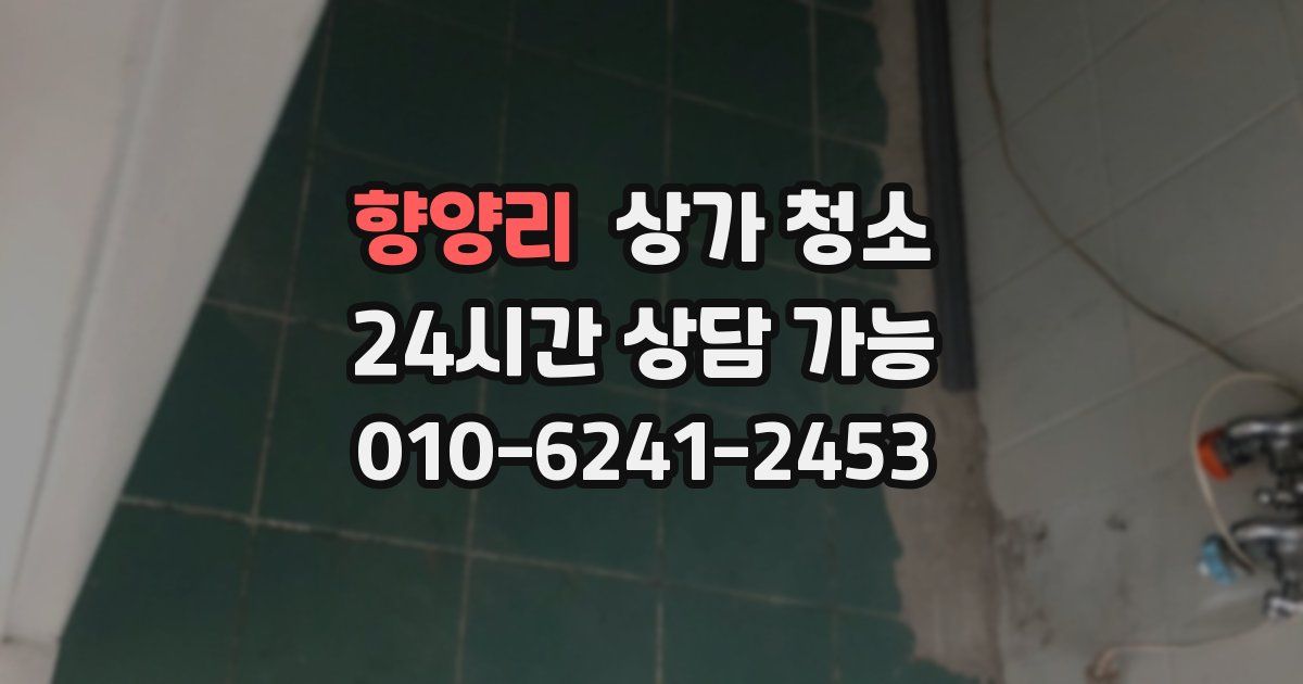 향양리 상가 청소