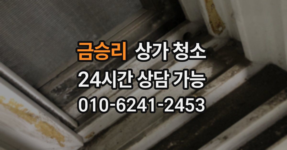 금승리 상가 청소