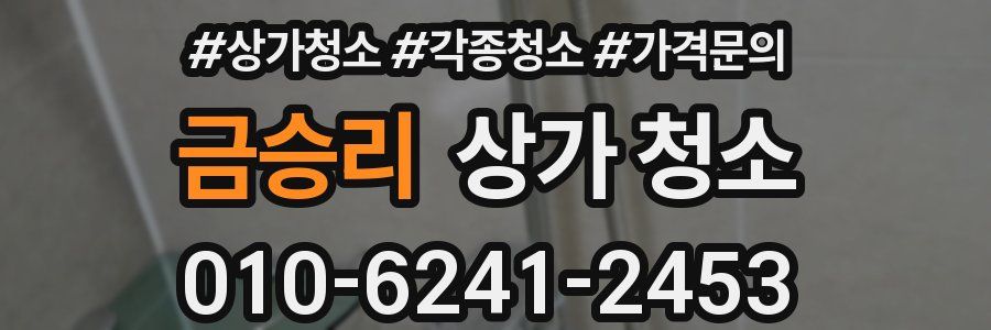 금승리 상가 청소