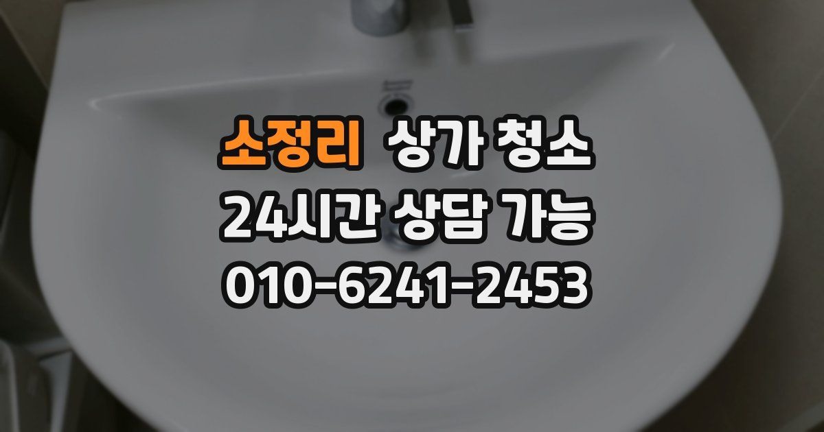 소정리 상가 청소