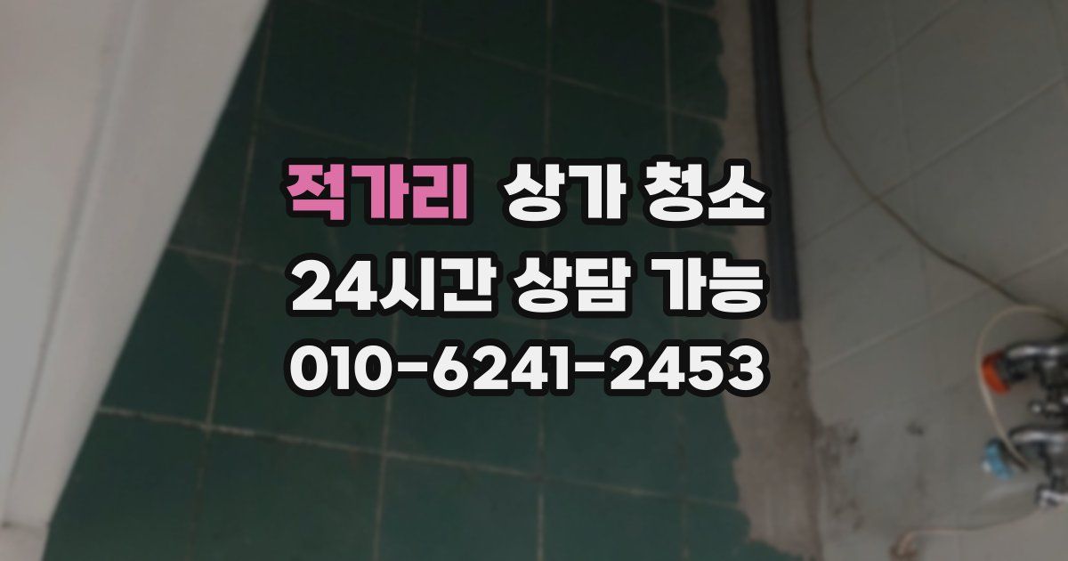 적가리 상가 청소