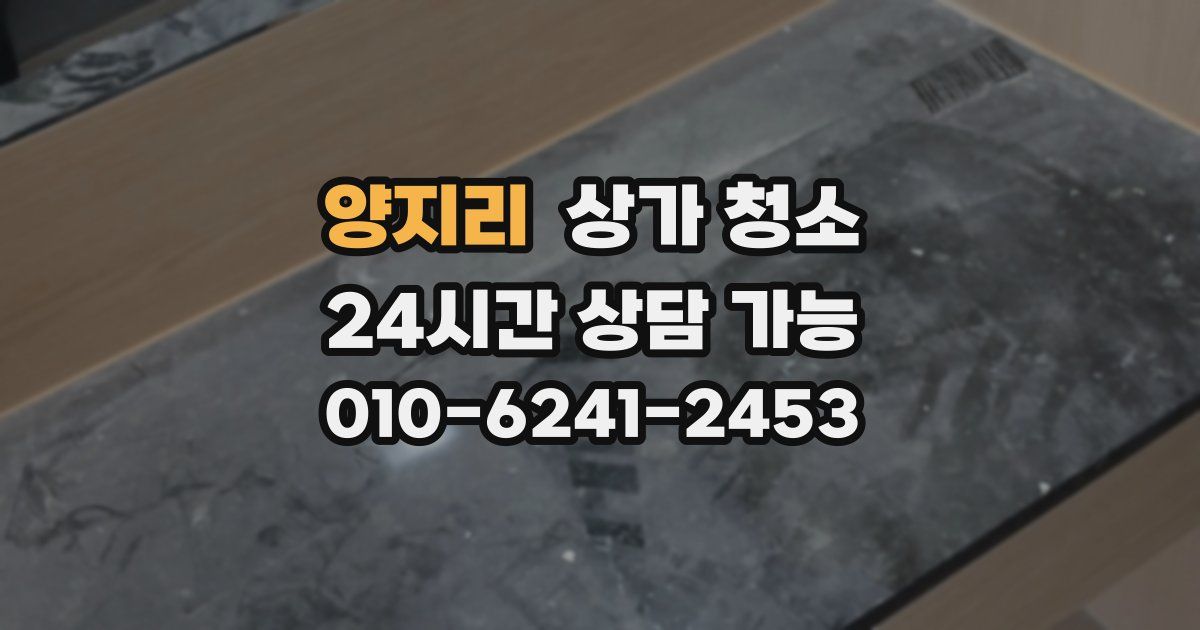 양지리 상가 청소