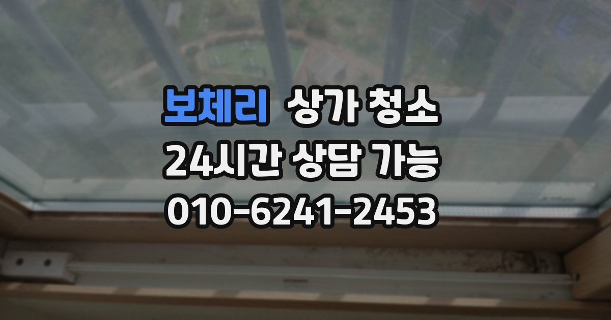 보체리 상가 청소