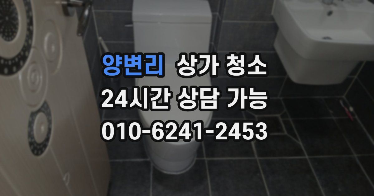 양변리 상가 청소