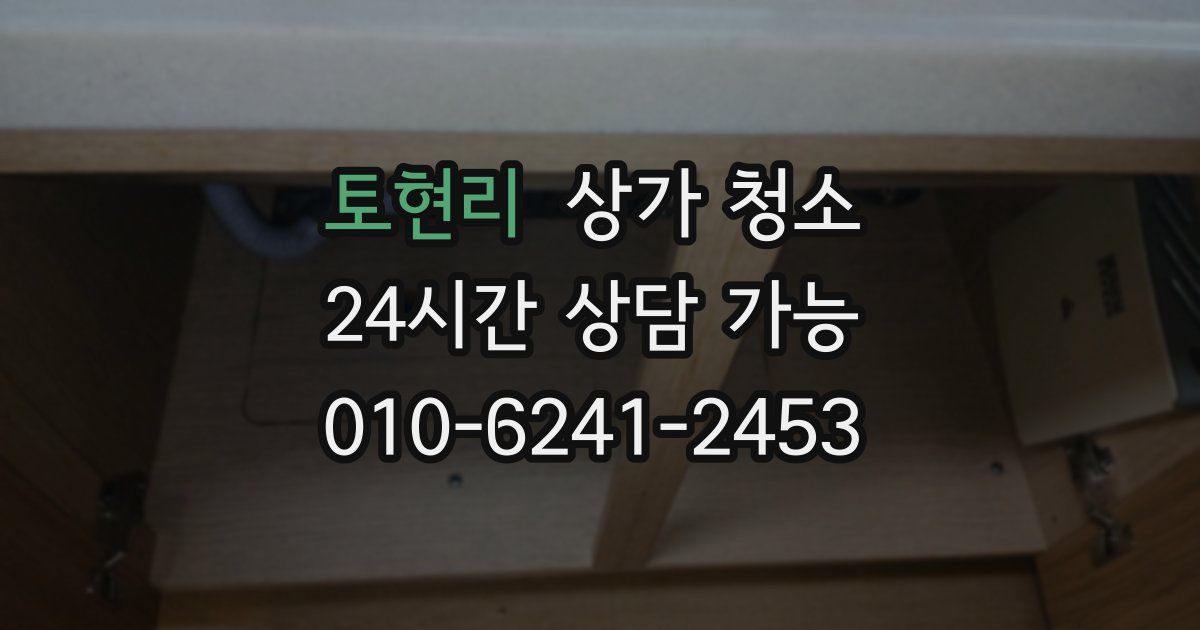 토현리 상가 청소