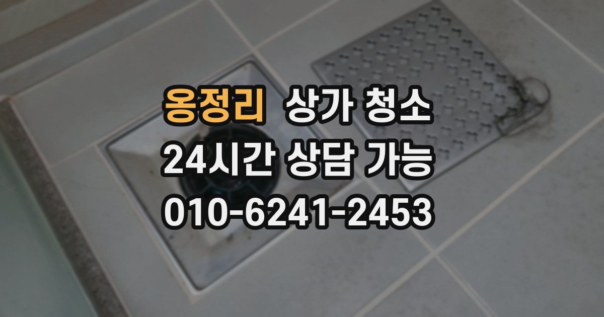 옹정리 상가 청소