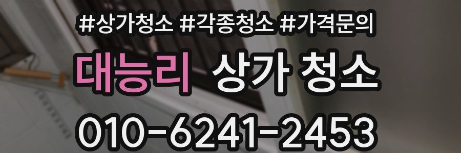 대능리 상가 청소