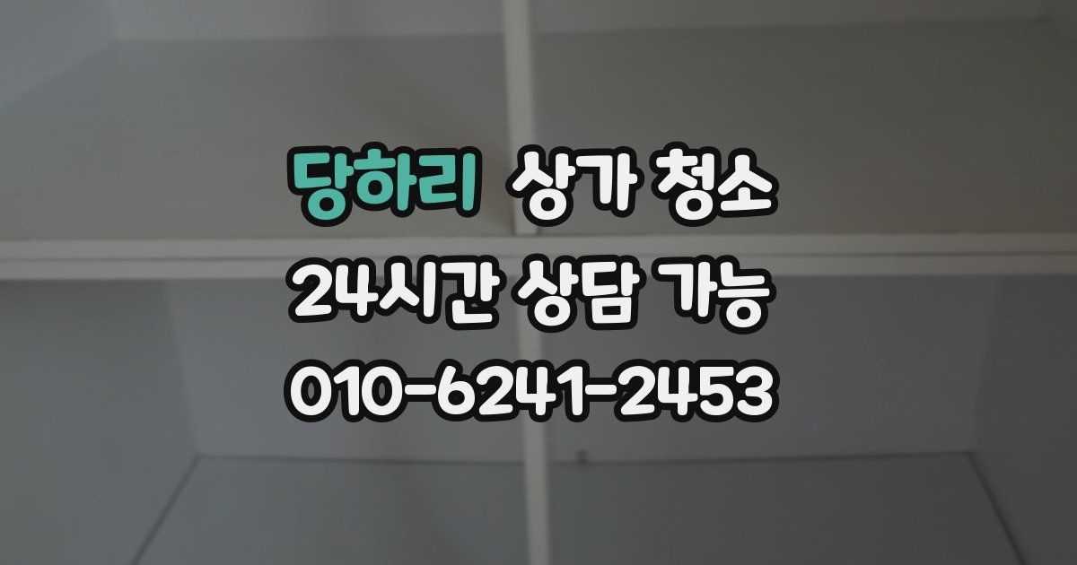 당하리 상가 청소