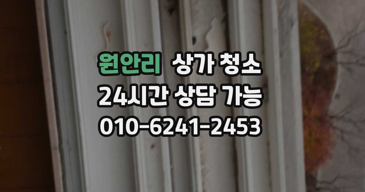 원안리 상가 청소