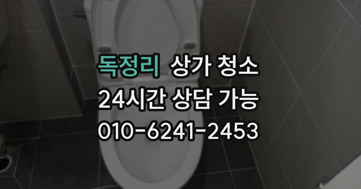 독정리 상가 청소