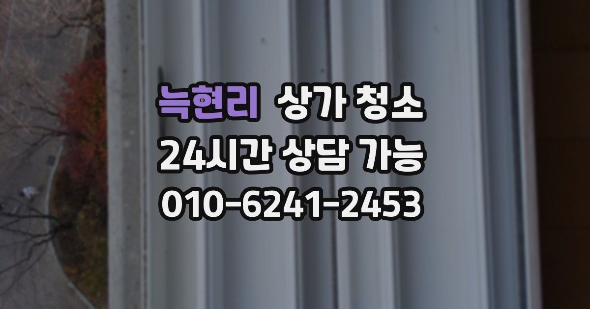 늑현리 상가 청소