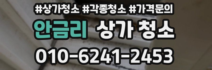 안금리 상가 청소