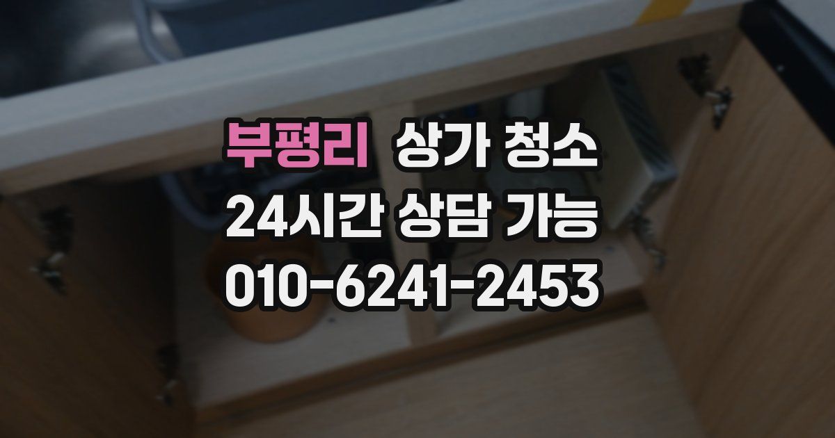 부평리 상가 청소