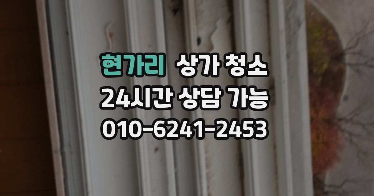 현가리 상가 청소