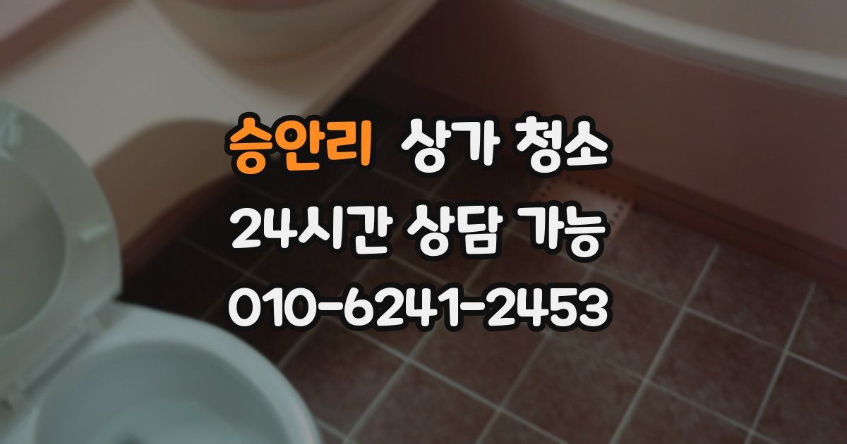 승안리 상가 청소