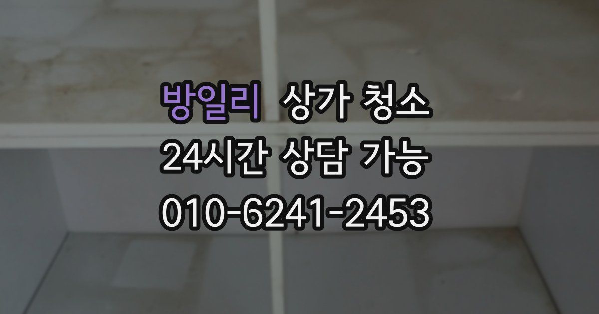 방일리 상가 청소
