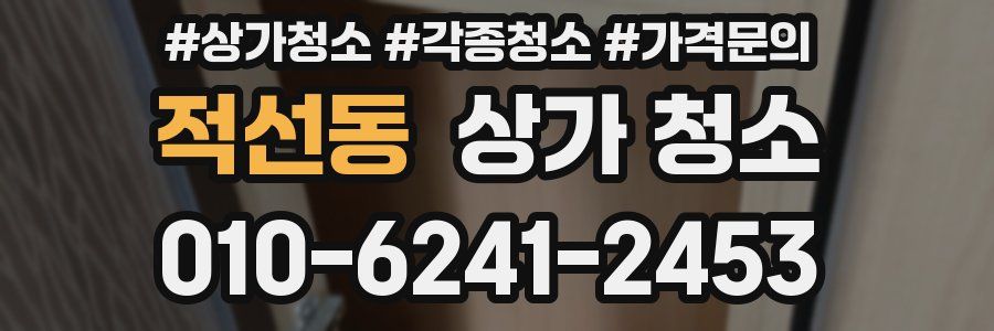 적선동 상가 청소