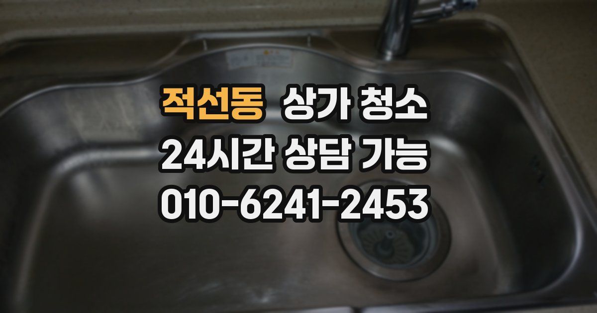 적선동 상가 청소