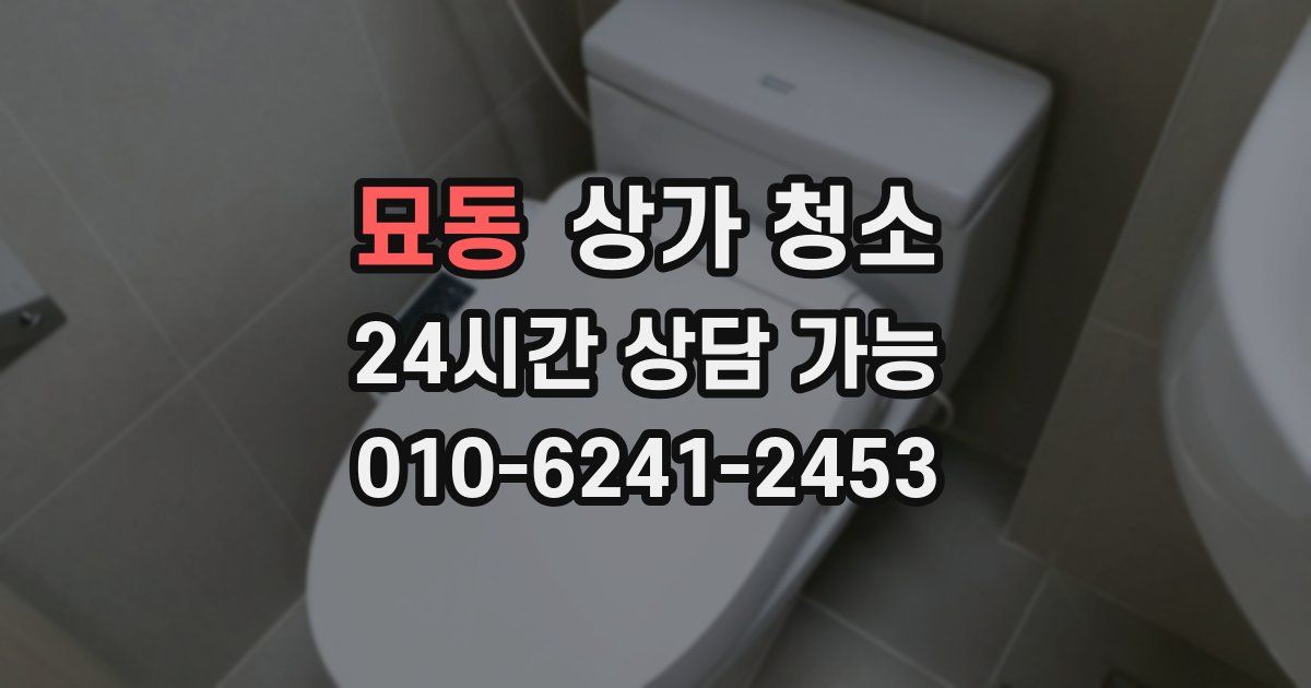 묘동 상가 청소