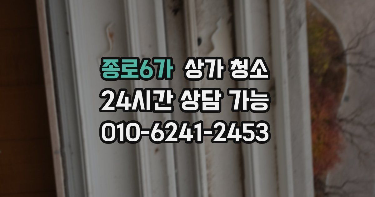 종로6가 상가 청소
