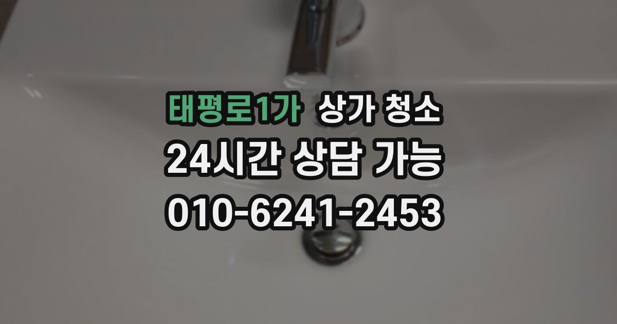 태평로1가 상가 청소