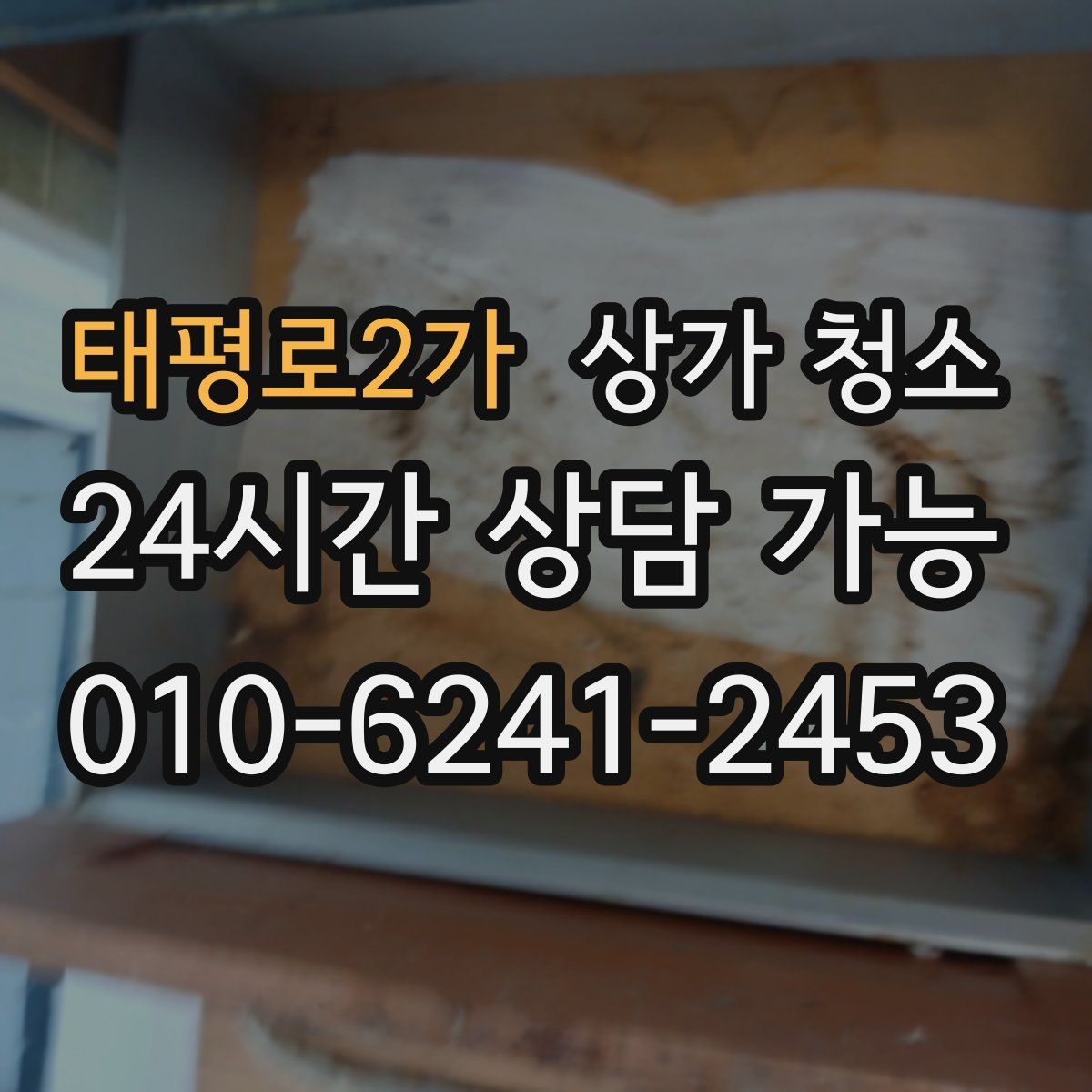 태평로2가 상가 청소