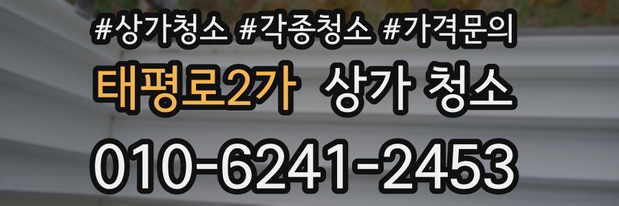 태평로2가 상가 청소