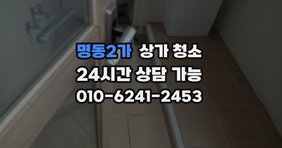 명동2가 상가 청소