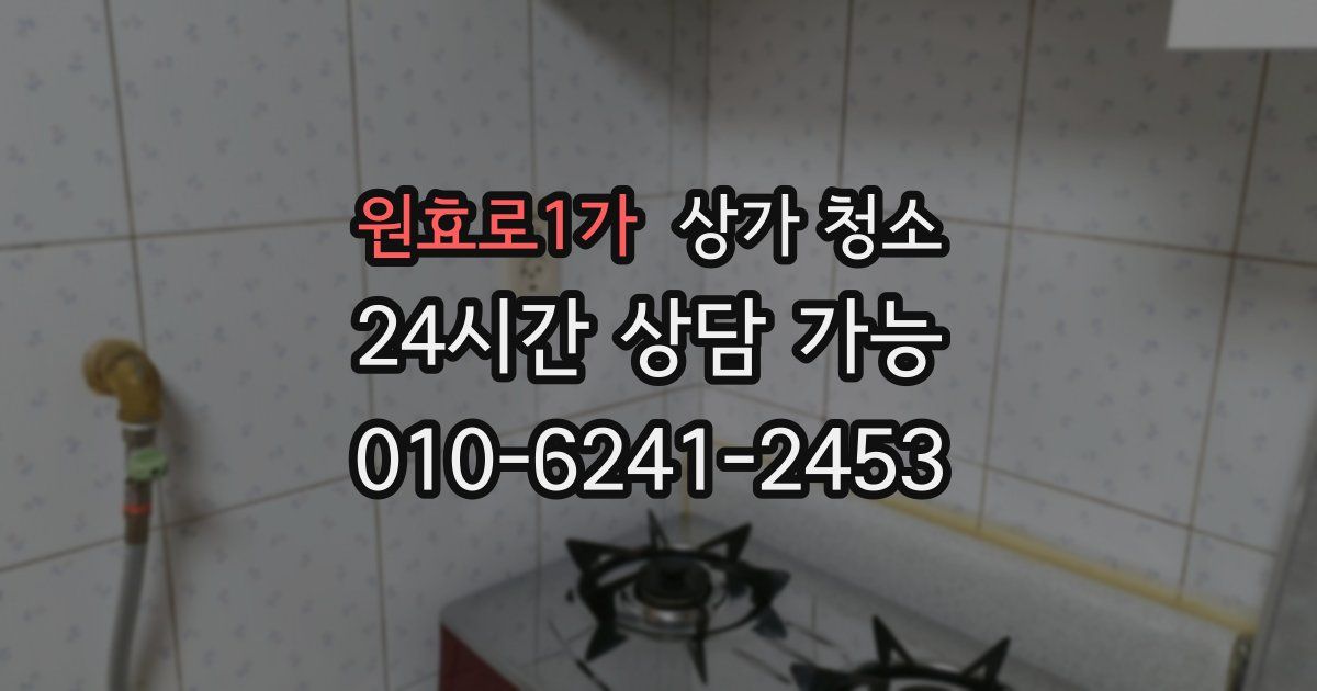 원효로1가 상가 청소