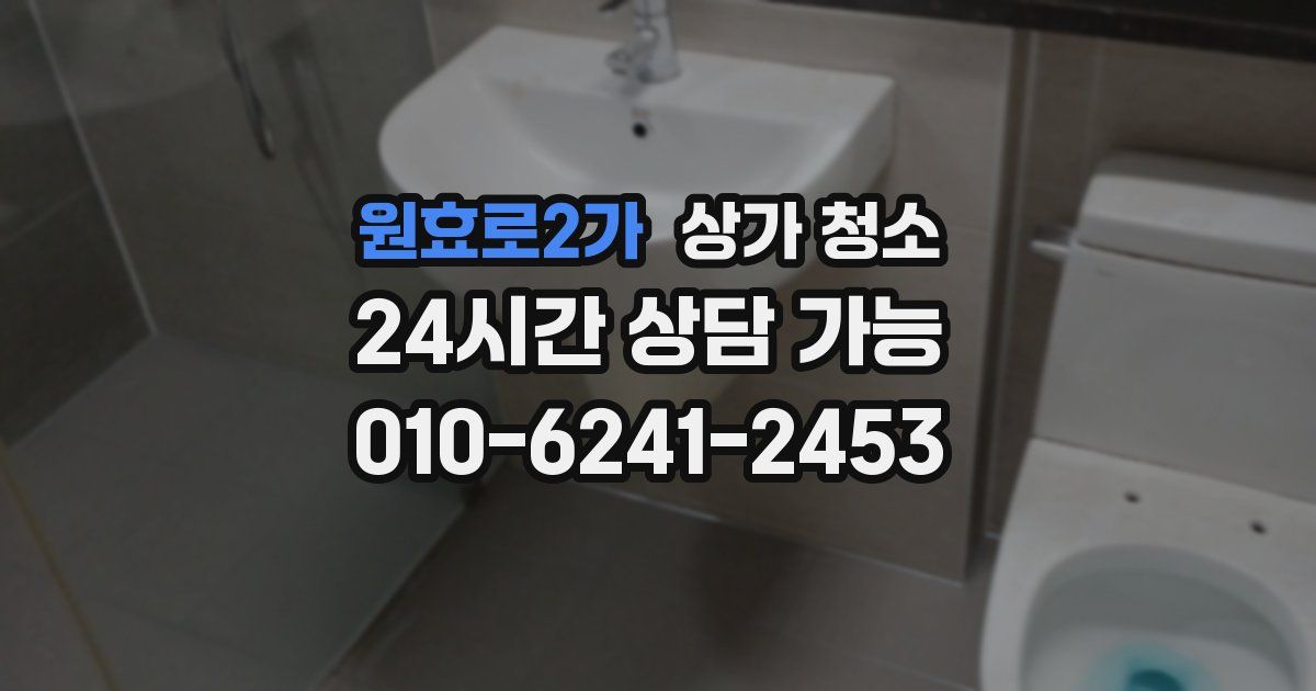 원효로2가 상가 청소