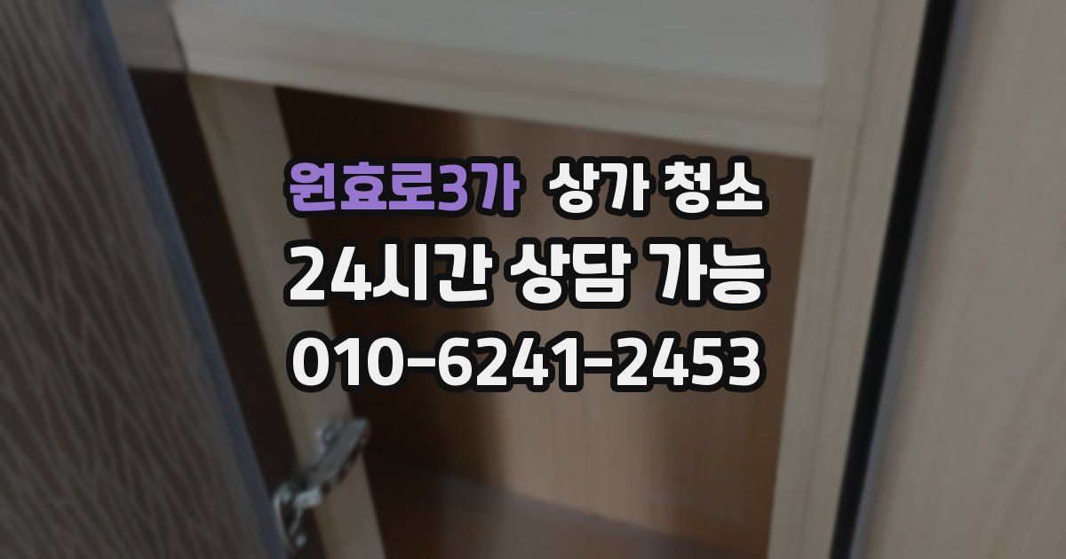 원효로3가 상가 청소