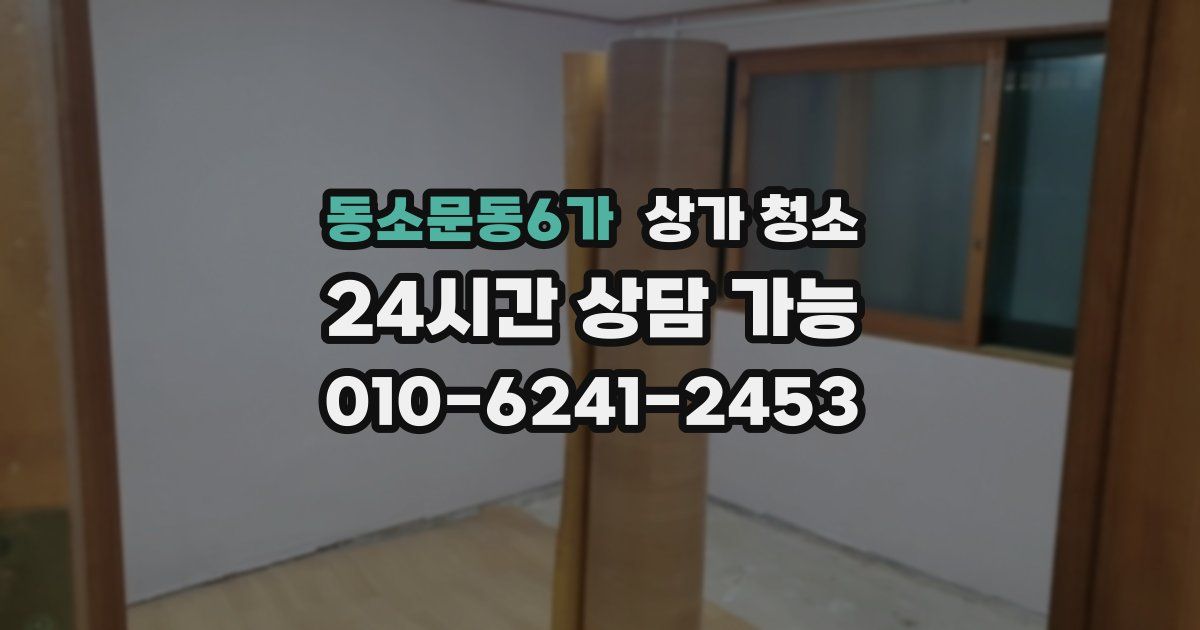 동소문동6가 상가 청소