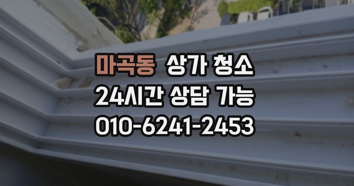 마곡동 상가 청소