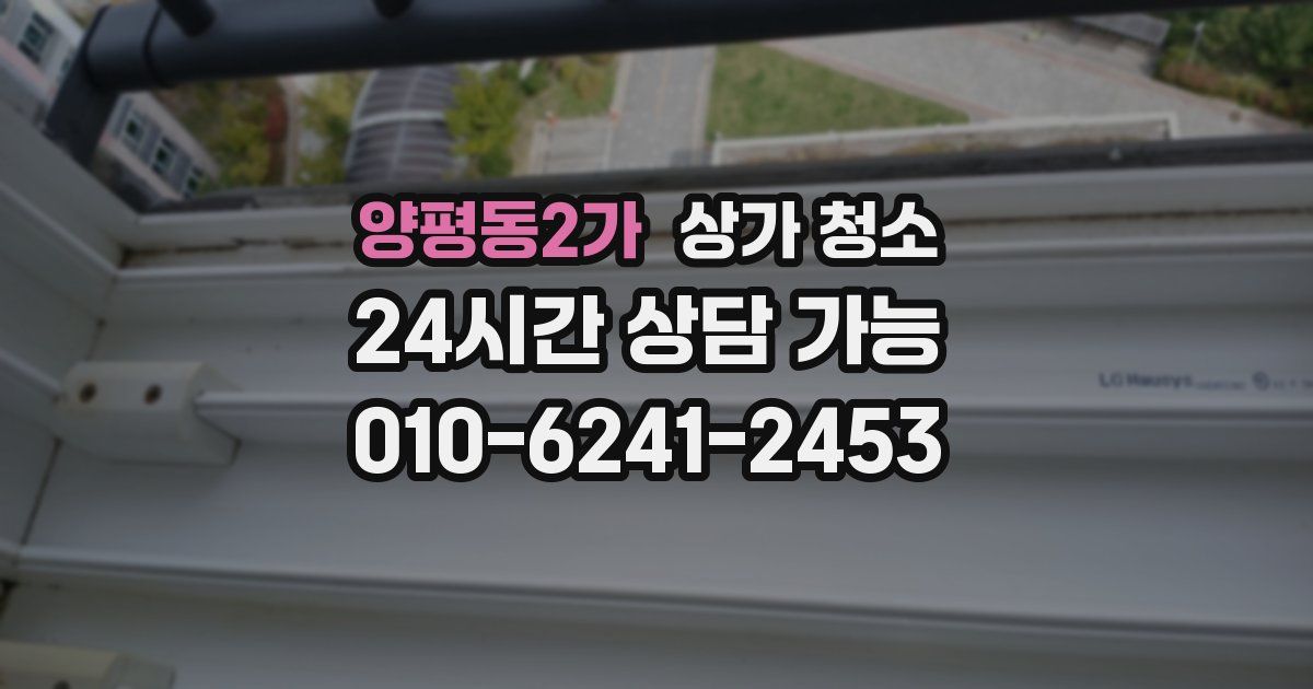 양평동2가 상가 청소