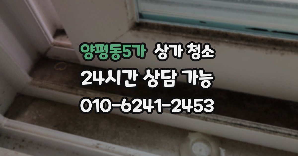 양평동5가 상가 청소