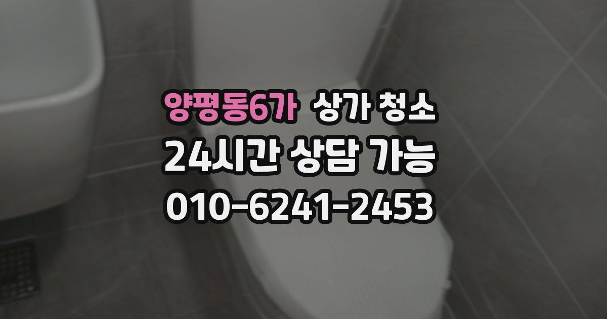 양평동6가 상가 청소