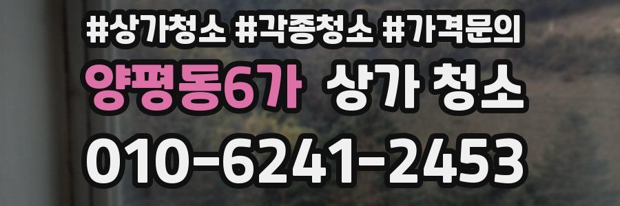 양평동6가 상가 청소