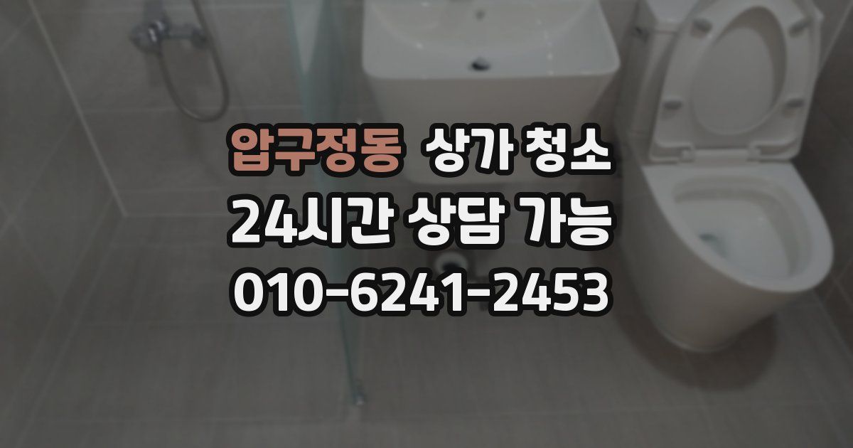 압구정동 상가 청소