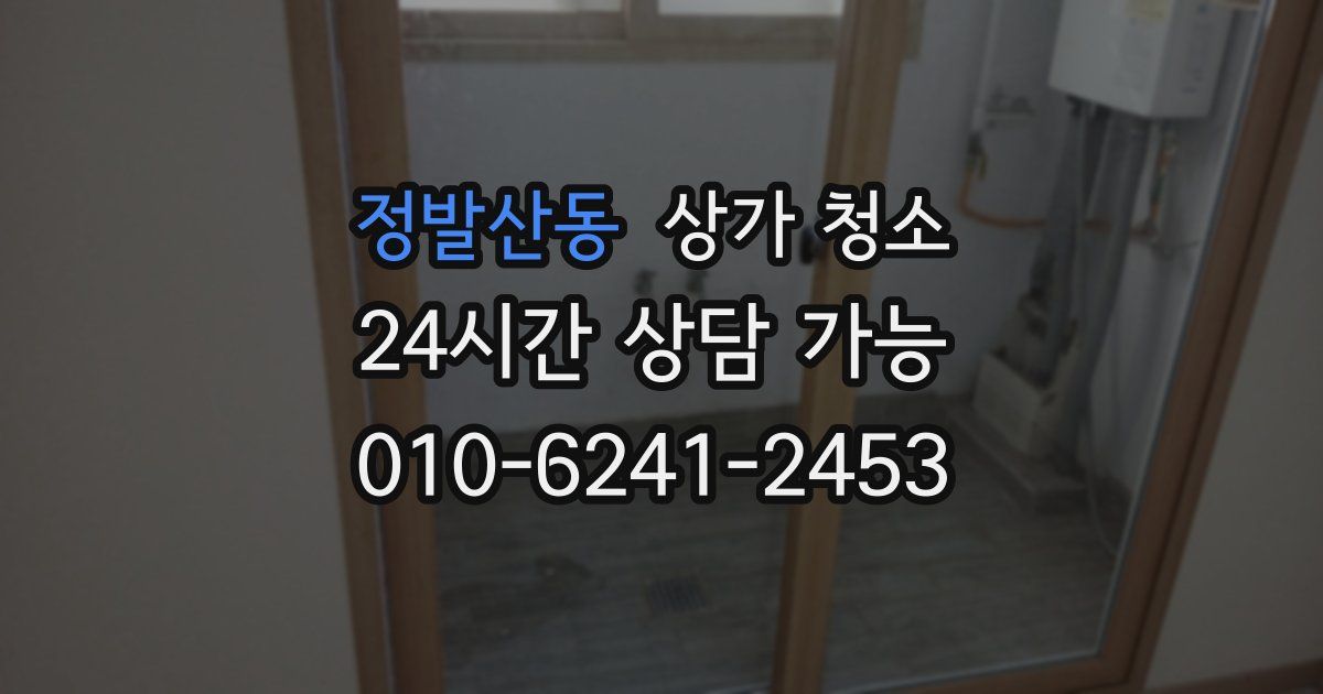 정발산동 상가 청소