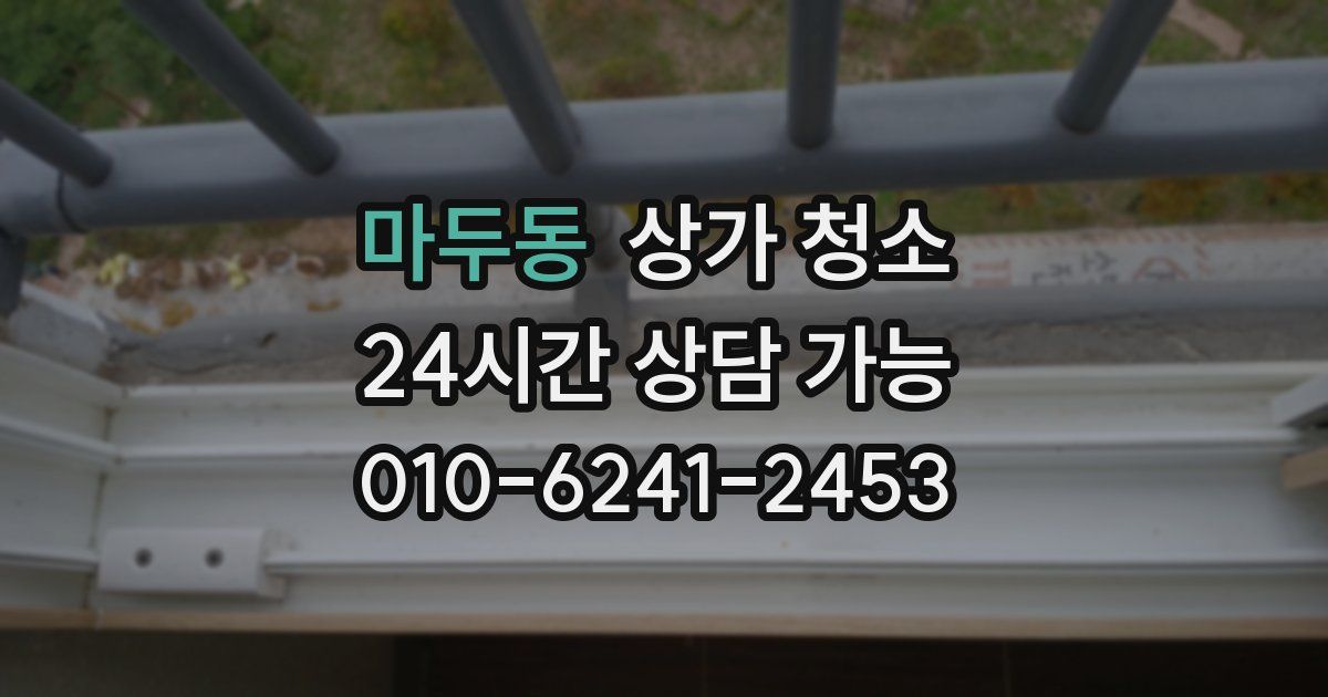 마두동 상가 청소