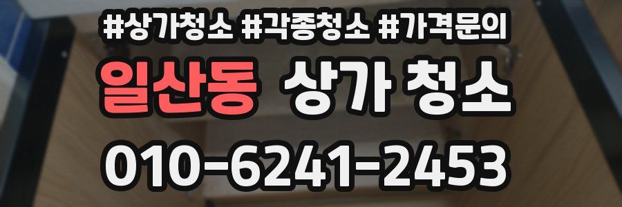 일산동 상가 청소