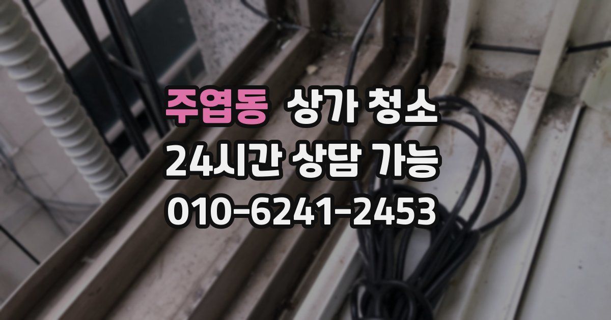 주엽동 상가 청소