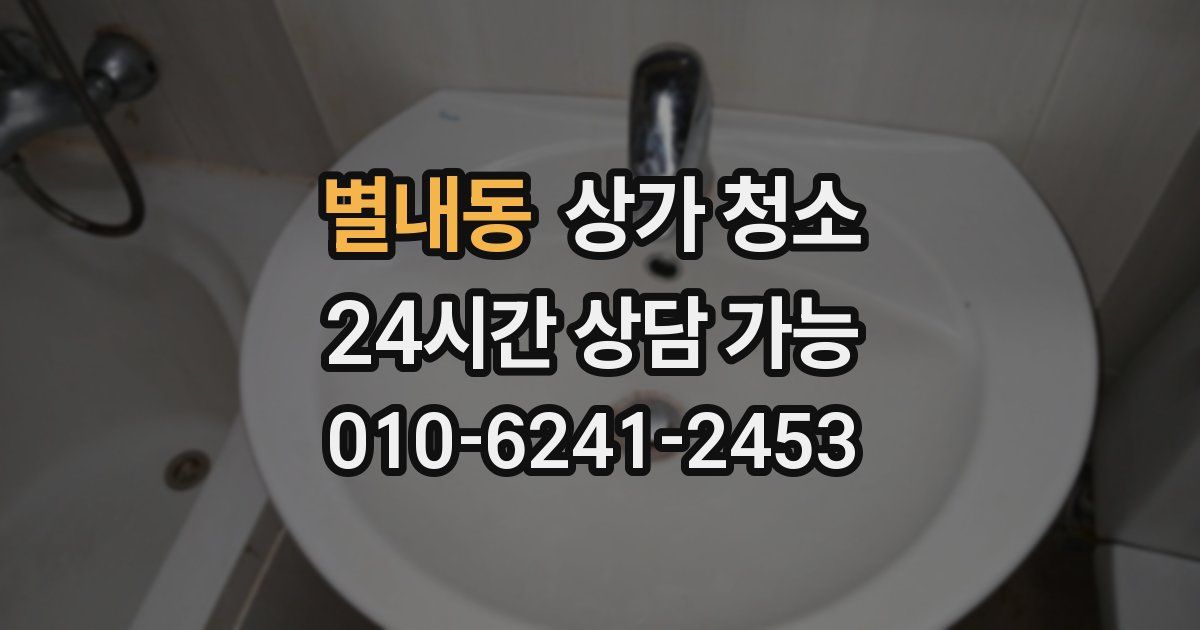 별내동 상가 청소