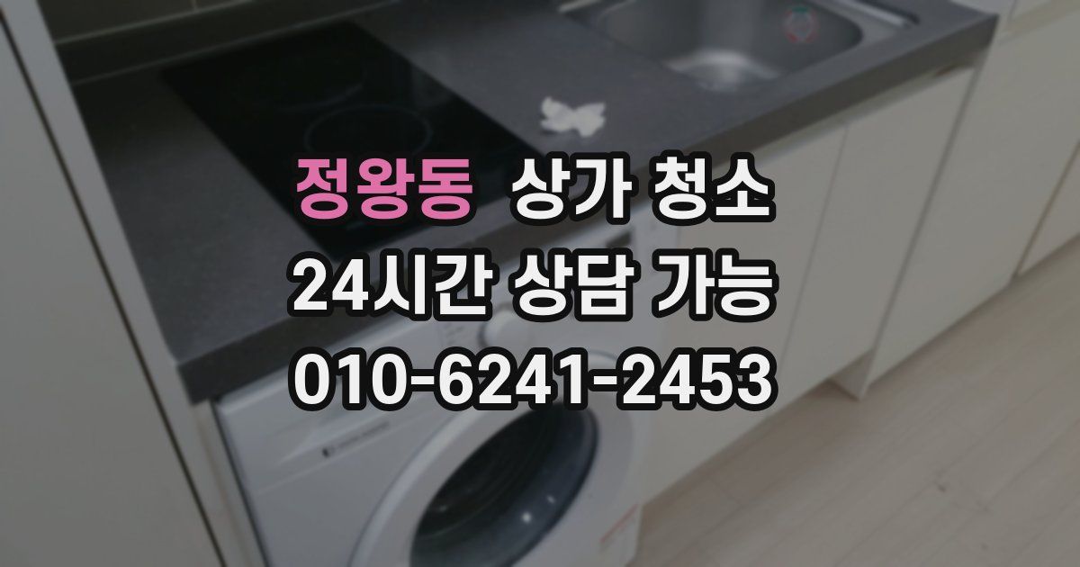 정왕동 상가 청소