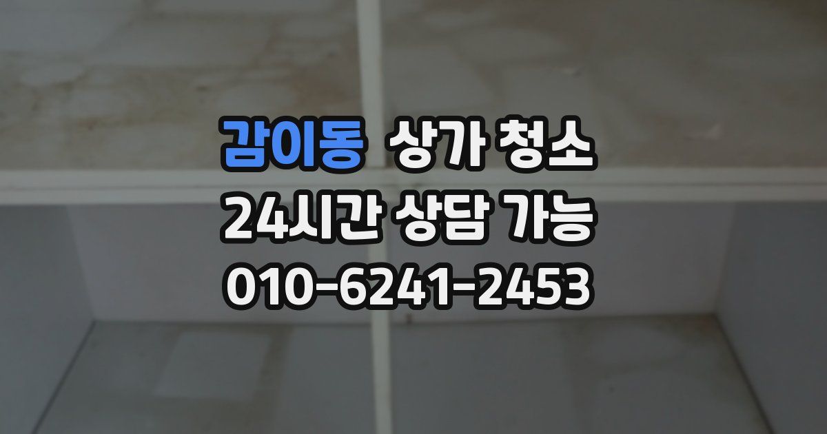 감이동 상가 청소
