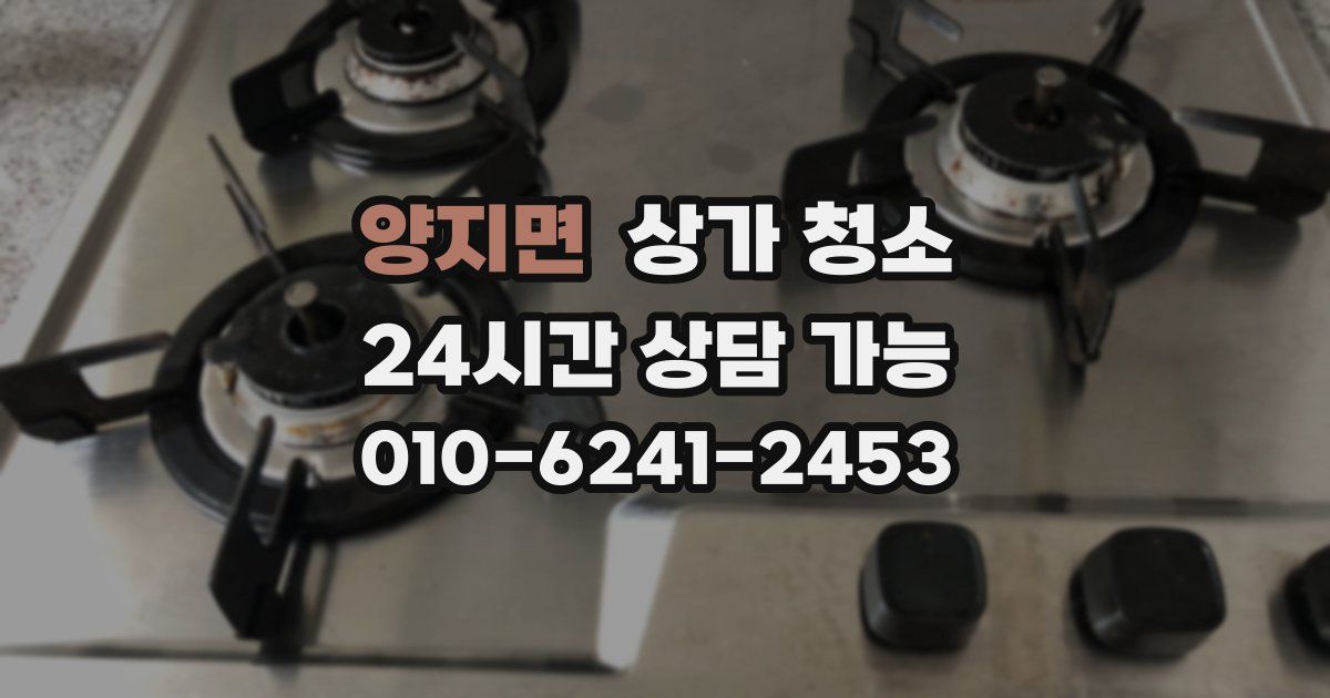양지면 상가 청소